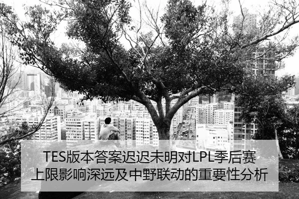 TES版本答案迟迟未明对LPL季后赛上限影响深远及中野联动的重要性分析