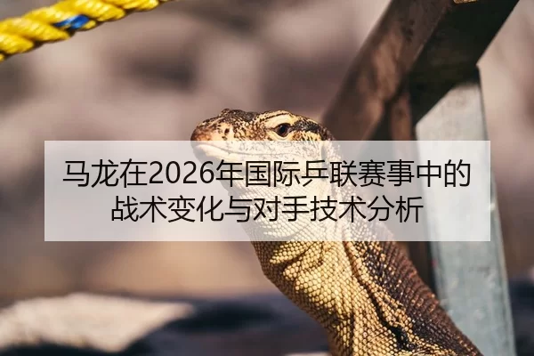 马龙在2026年国际乒联赛事中的战术变化与对手技术分析