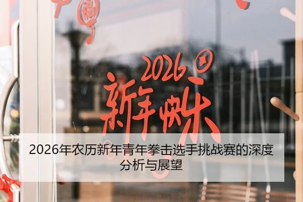 2026年农历新年青年拳击选手挑战赛的深度分析与展望
