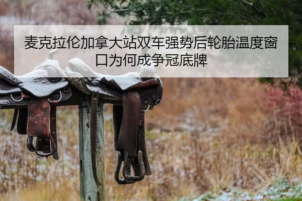 mai-ke-la-lun-jia-na-da-zhan-shuang-che-qiang-shi-hou-lun-tai-wen-du-chuang-kou-wei-he-cheng-zheng-guan-di-pai-2-871.jpg