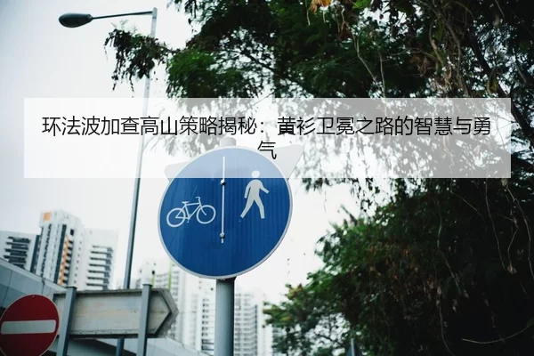 环法波加查高山策略揭秘：黄衫卫冕之路的智慧与勇气