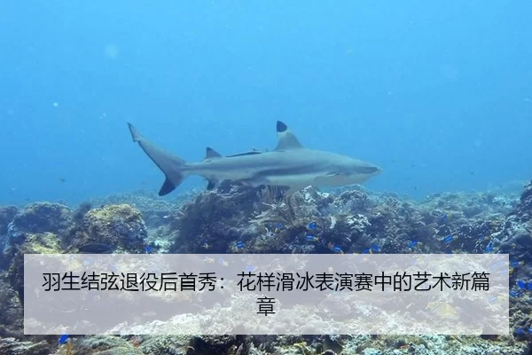 羽生结弦退役后首秀：花样滑冰表演赛中的艺术新篇章