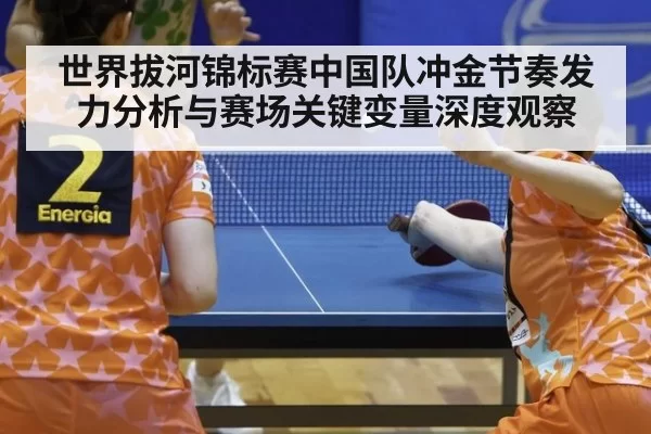 世界拔河锦标赛中国队冲金节奏发力分析与赛场关键变量深度观察